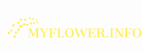 MyFlower.info: flowers, houseplants, garden, vegetable garden, landscaping