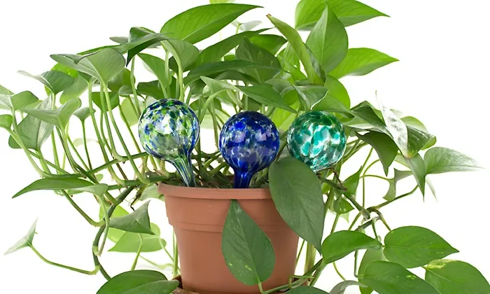 Aqua balls for plants