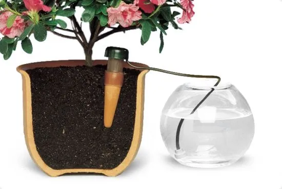 Automatic watering system